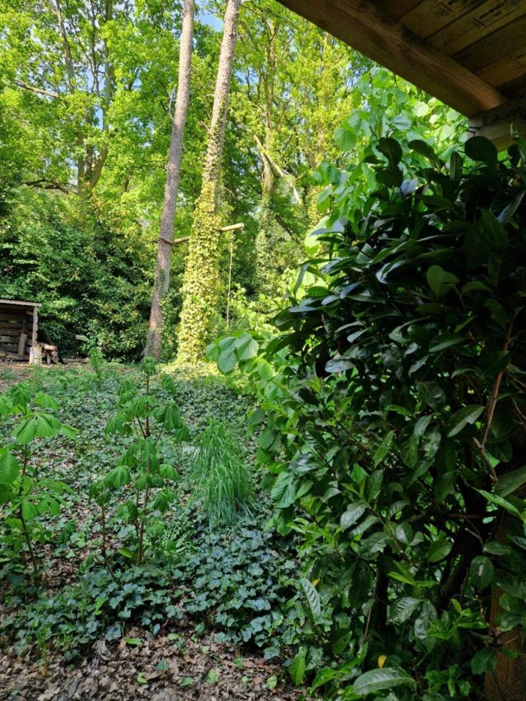 Bed & Breakfast Benb Op De Vleet